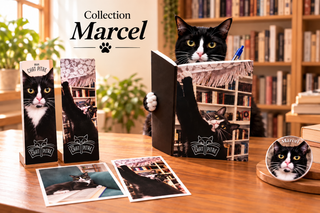 Collection Marcel