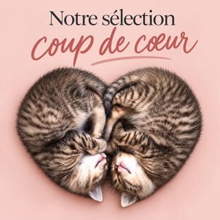 Coups de coeur