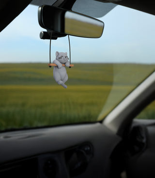 Accessoire Voiture Chat