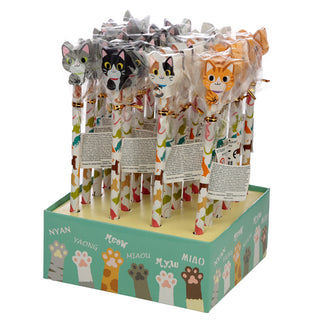 Crayon et Gomme Chat - vue 2