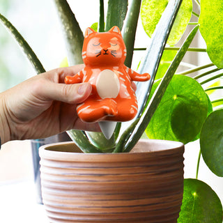 Distributeur d'Eau Yoga Chat