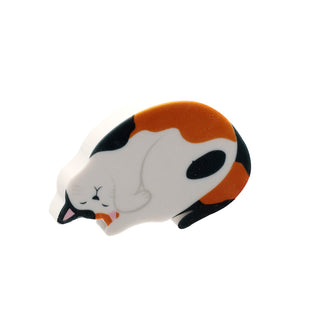 Gomme Chat - vue 7