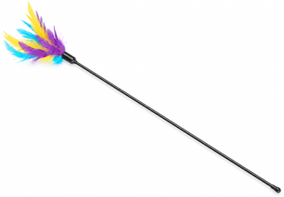 Jouet chat - Canne à Pêche Plume Multicolore