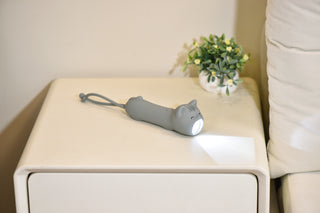 Lampe Torche Chat