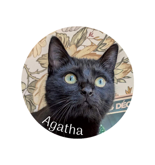 Magnet Agatha - Colmar