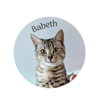 Magnet Babeth - Colmar