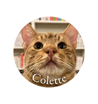 Magnet Colette - Aix-en-Provence