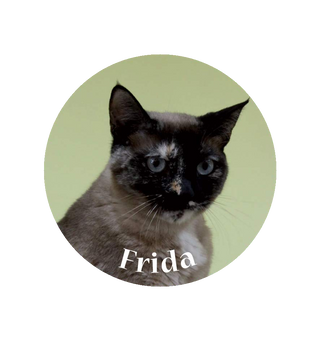 Magnet Frida - Bordeaux