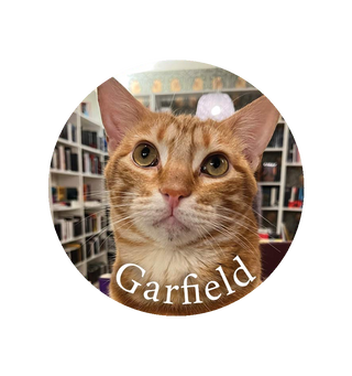 Magnet Garfield - Aix-en-Provence