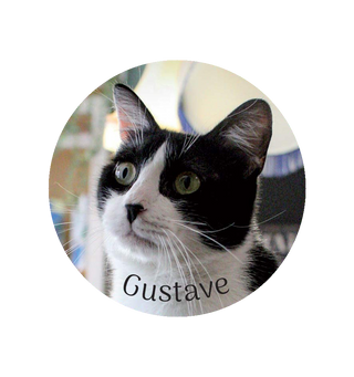 Magnet Gustave - Colmar