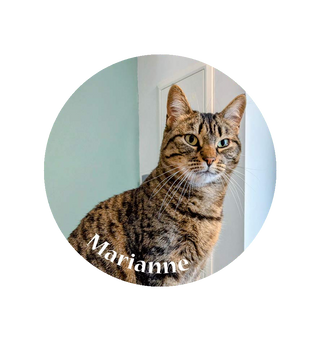 Magnet Marianne - Colmar