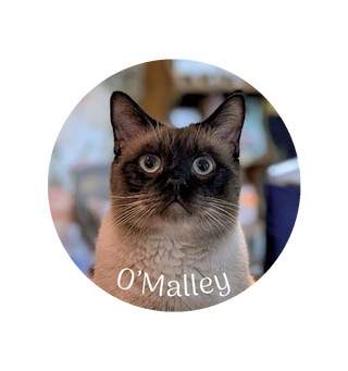 Magnet O'Malley - Colmar