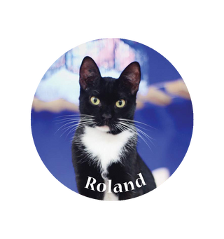 Magnet Roland - Bordeaux