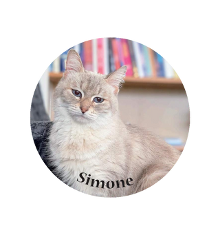 Magnet Simone - Colmar