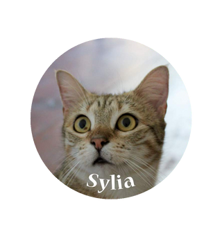 Magnet Sylia - Bordeaux