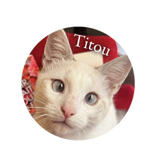 Magnet Titou - Aix-en-Provence