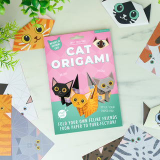 Kit Origami Chat