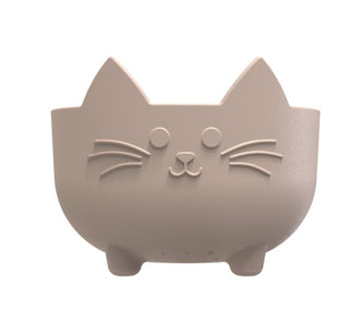 Passoire Chat