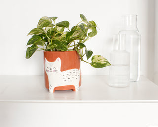 Pot de Fleur Chat