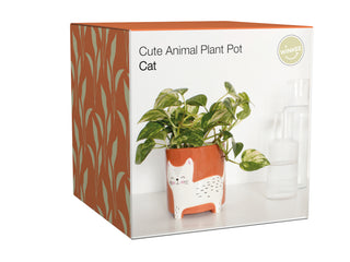 Pot de Fleur Chat